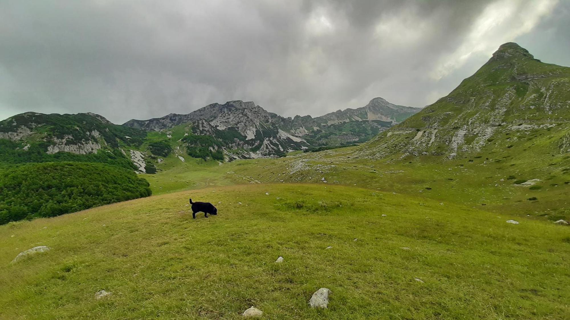 Apartments Durmitor Жабляк Екстер'єр фото