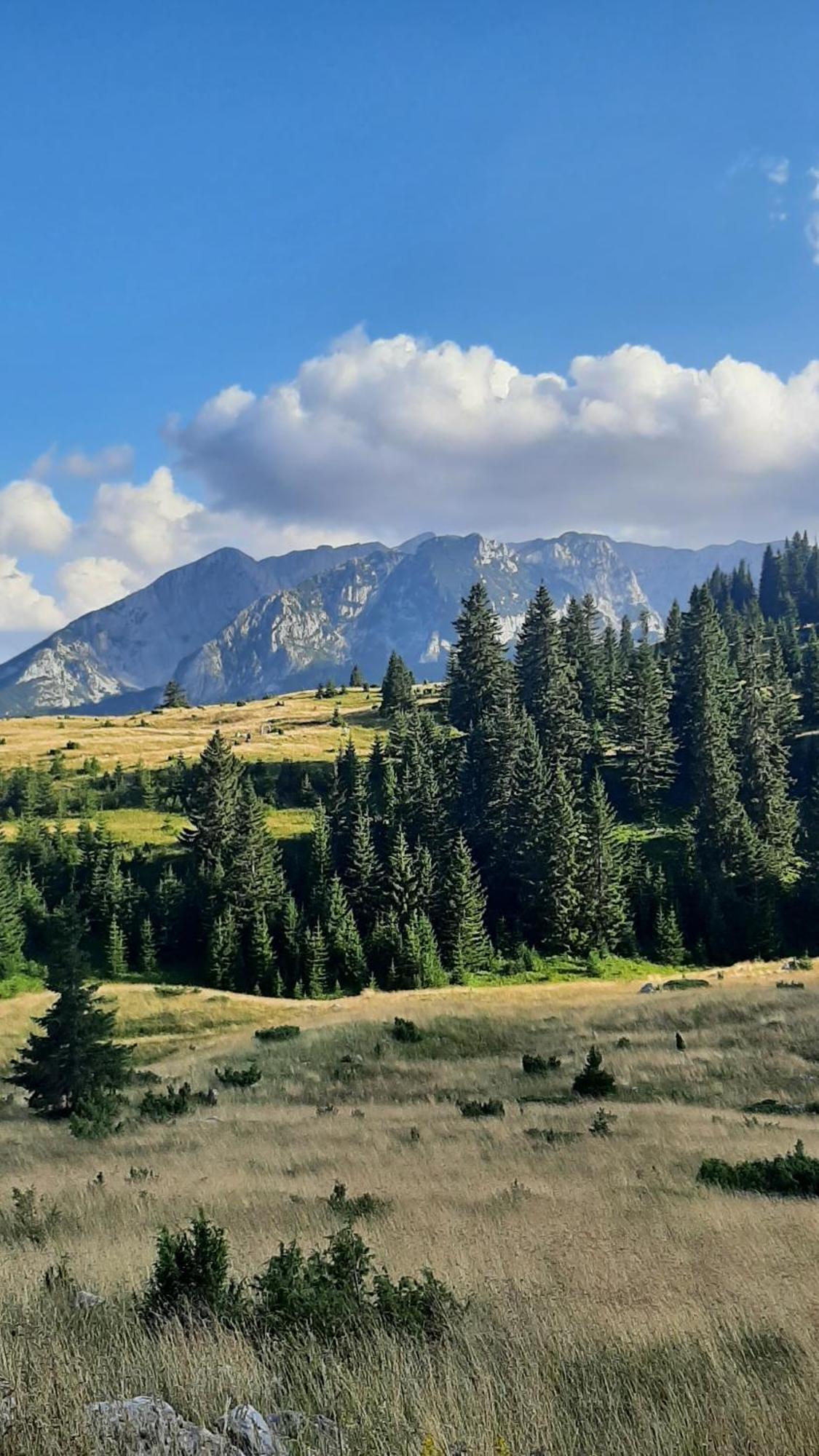 Apartments Durmitor Жабляк Екстер'єр фото